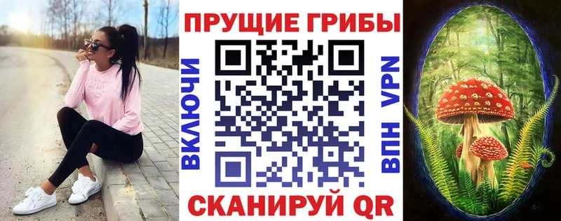 Псилоцибиновые грибы ЛСД Лесозаводск
