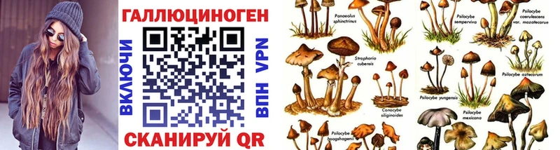 Галлюциногенные грибы MAGIC MUSHROOMS  наркошоп  дарк нет какой сайт  Лесозаводск 